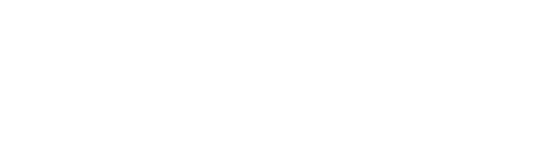 Vendrame Consultores Logo